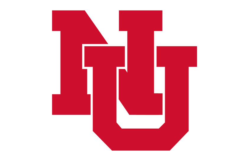Nebraska Cornhuskers 2021 Helmet Logo diy iron on heat transfer
